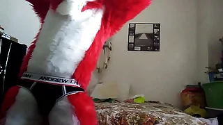 256 furry porn videos